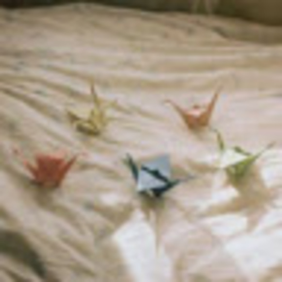 Meet your Posher, Lily - Picture 1 of 1